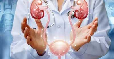 فاكهة تُخفف حرقان البول بسرعة.. تعرف عليها